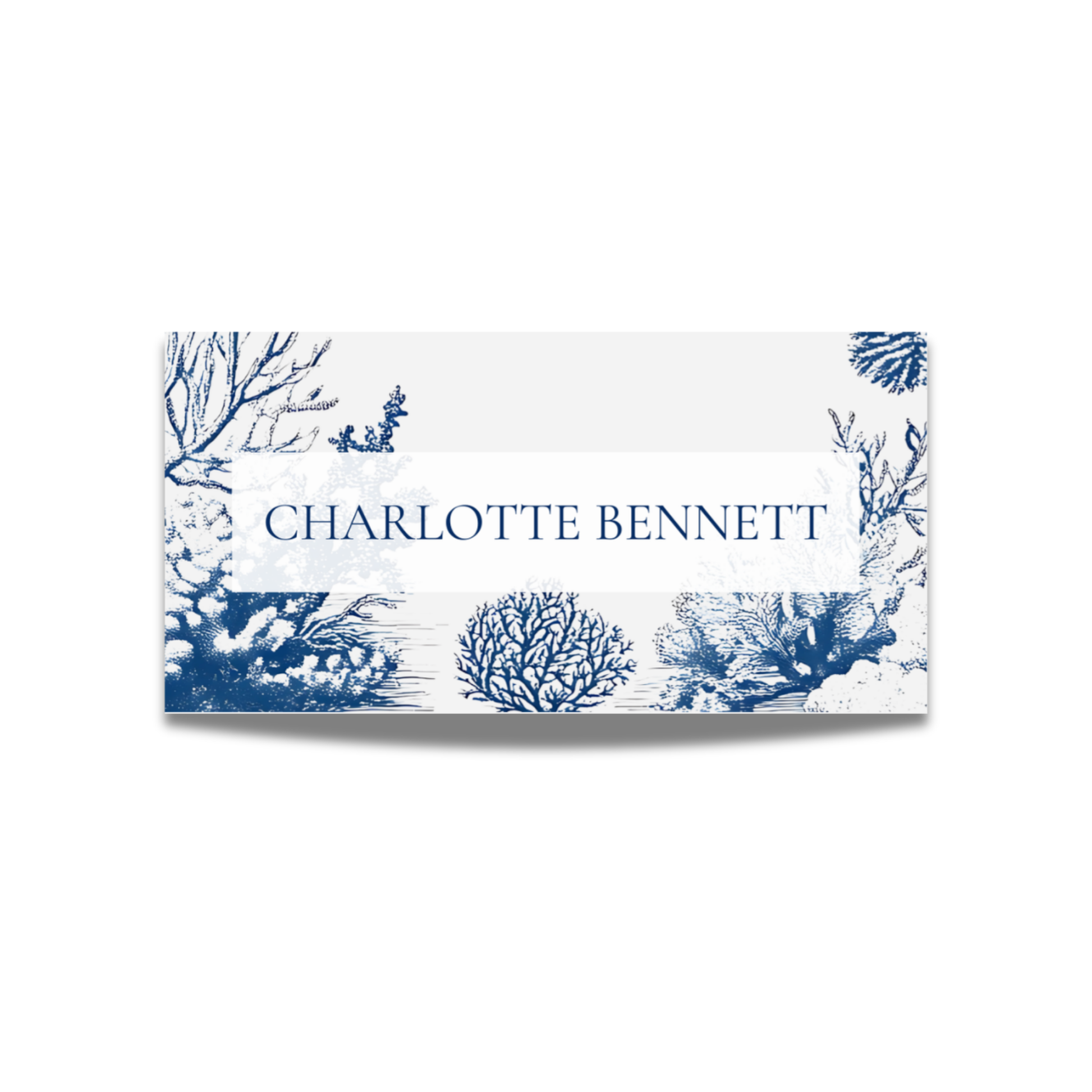Busy Underwater Scene Name Place Cards