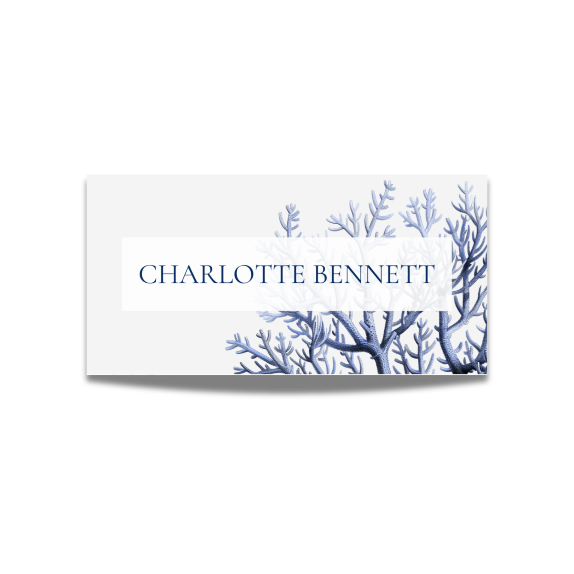 Coral Name Place Cards