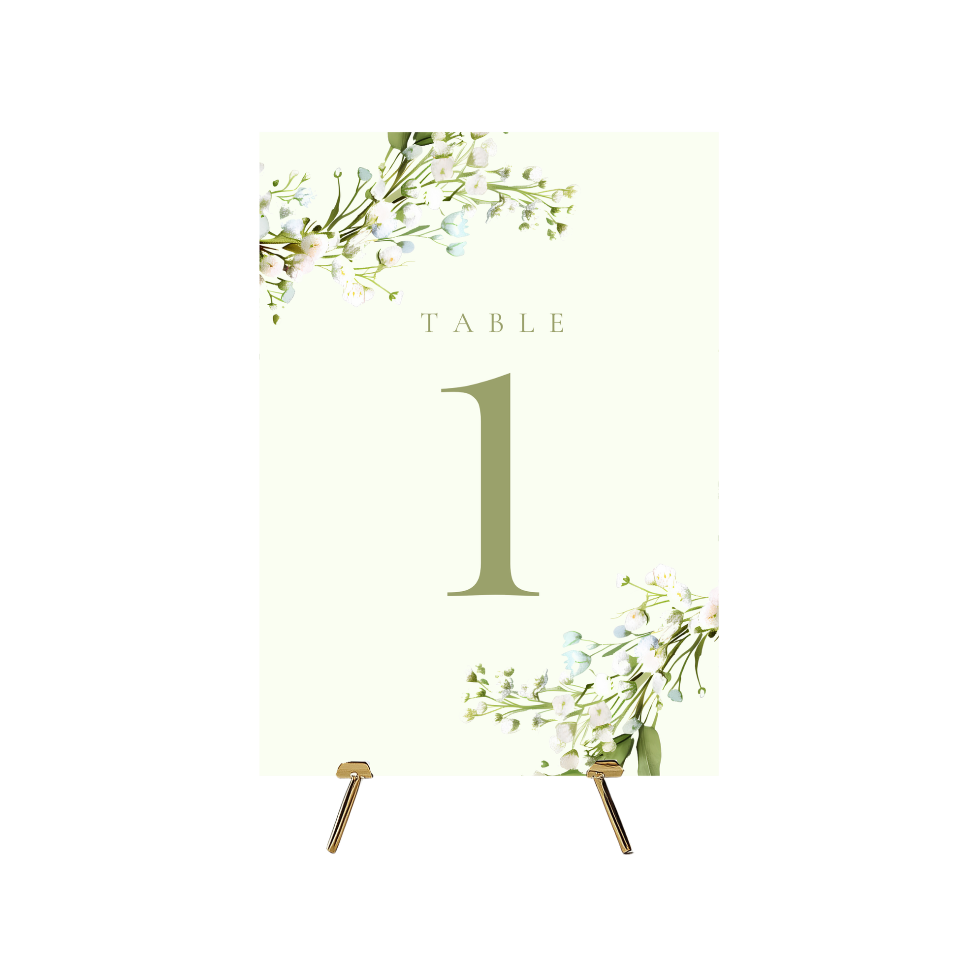 Baby's Breath Gypsophila Table Numbers