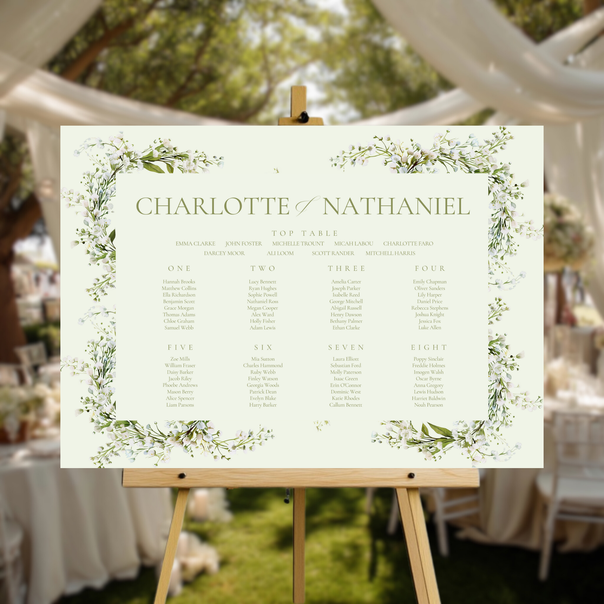 Baby's Breath Gypsophila Seating Plan Sign