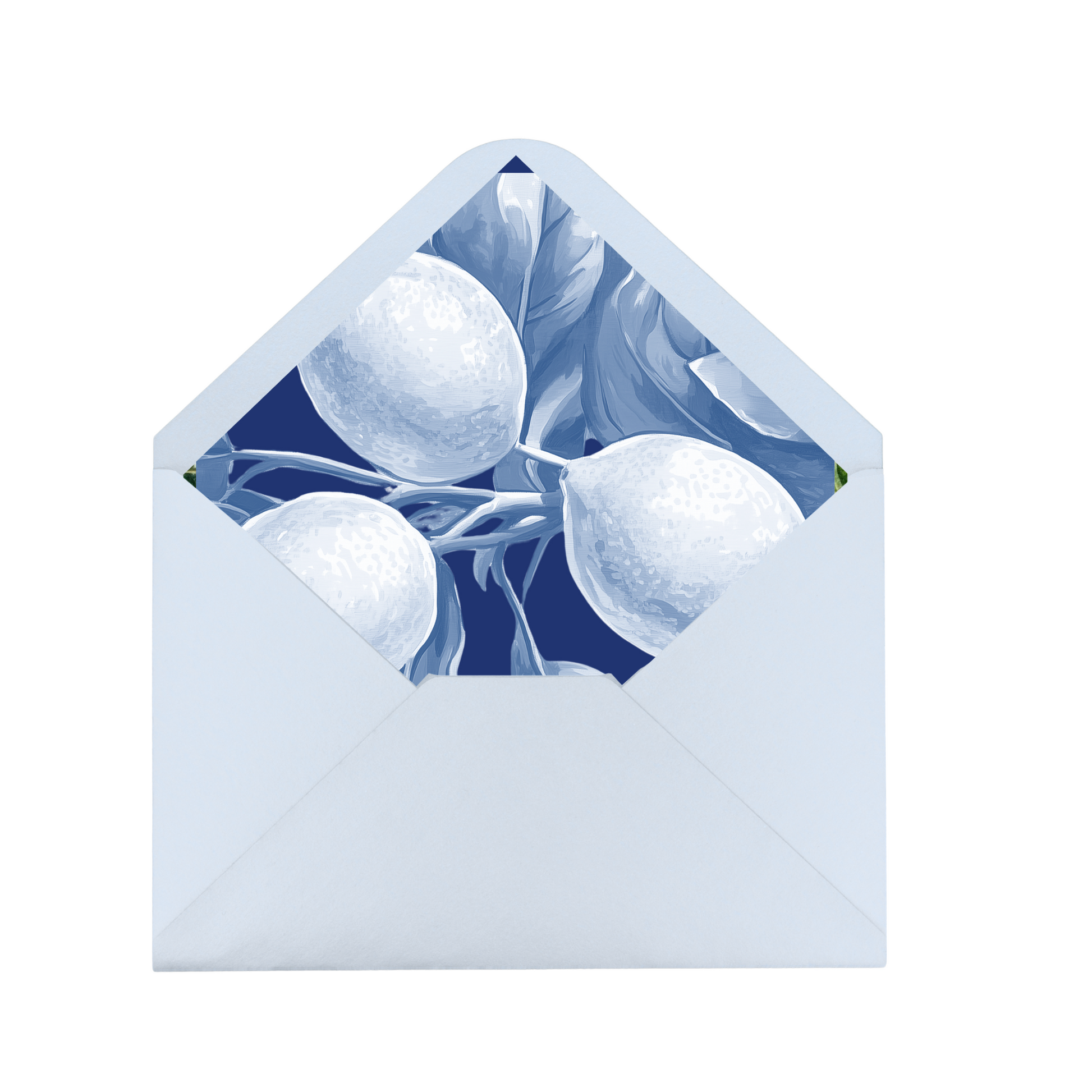 Mediterranean Envelope Liner